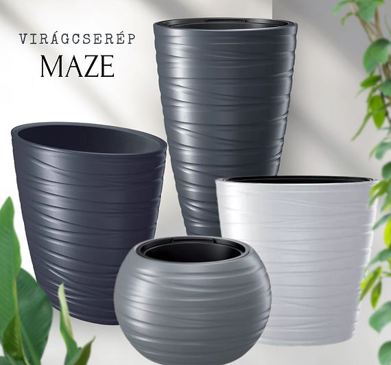 maze.jpg